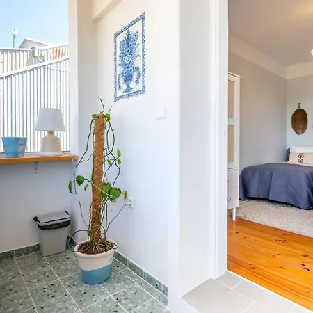 Apartamento Santa Catarina Panoramic Loft